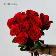 rosas rojas