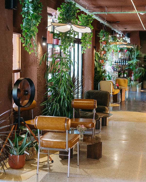 Contacta con Moka Bloom, floristería y cafetería en Benidorm